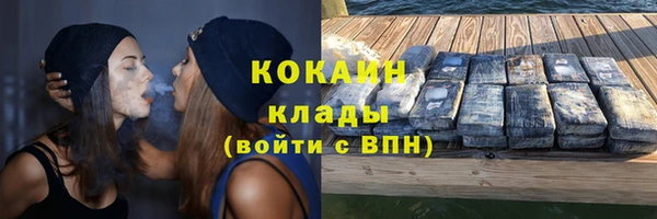 шишки Пестово