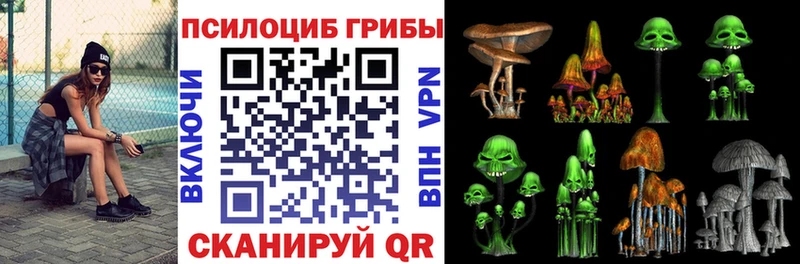 Псилоцибиновые грибы прущие грибы  Сертолово 